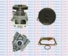 AQUAPLUS 85-5655 Water Pump